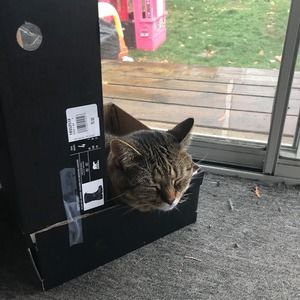 Meet your Posher, Sam